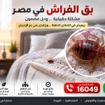 بق الفراش في مصر   الشركة الألمانية لإبادة الحشرات والقوارض