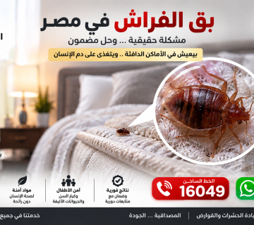 بق الفراش في مصر   الشركة الألمانية لإبادة الحشرات والقوارض