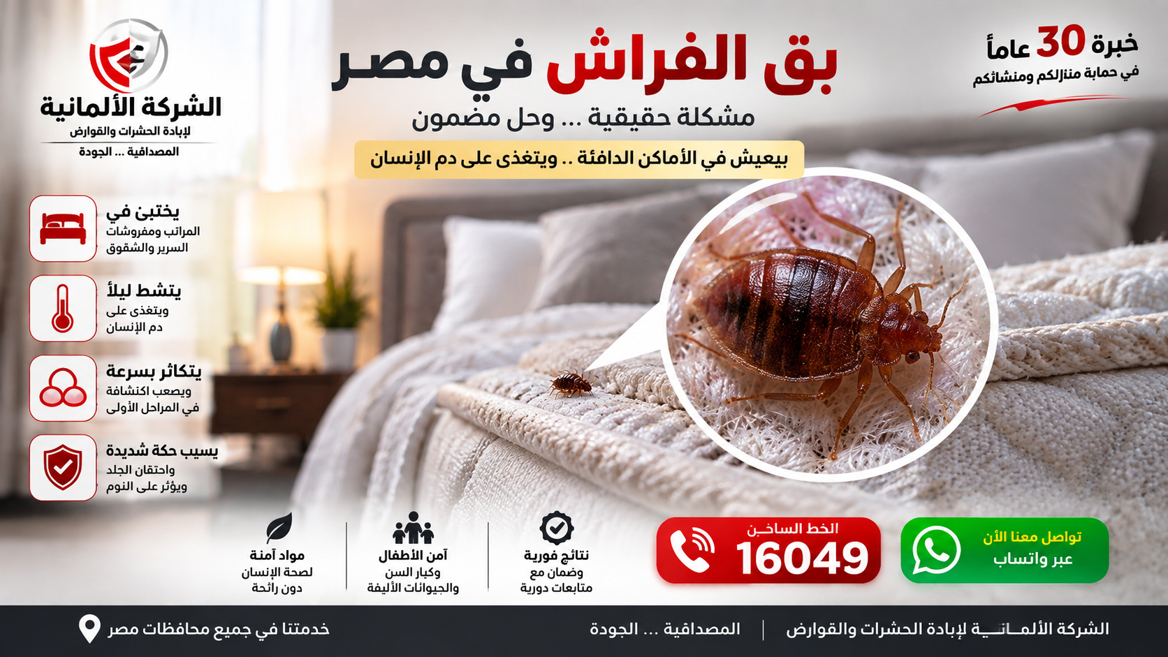 بق الفراش في مصر   الشركة الألمانية لإبادة الحشرات والقوارض
