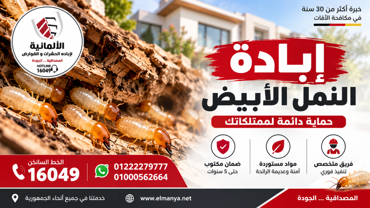 إبادة النمل الأبيض في مصر | الشركة الألمانية إبادة النمل الأبيض في مصر - الشركة الألمانية لإبادة الحشرات والقوارض